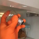 Refrigerator Light Bulbs