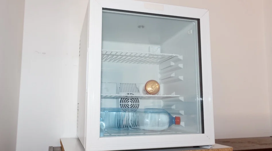 Features To Look For in the Best Mini Fridge With Glass Door
